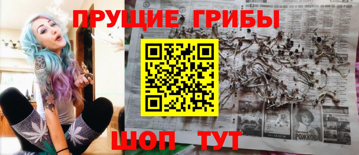 Ангарск  Галлюциногенные грибы GOLDEN TEACHER  Вход с VPN  Псилоцибиновые грибы прущие грибы 