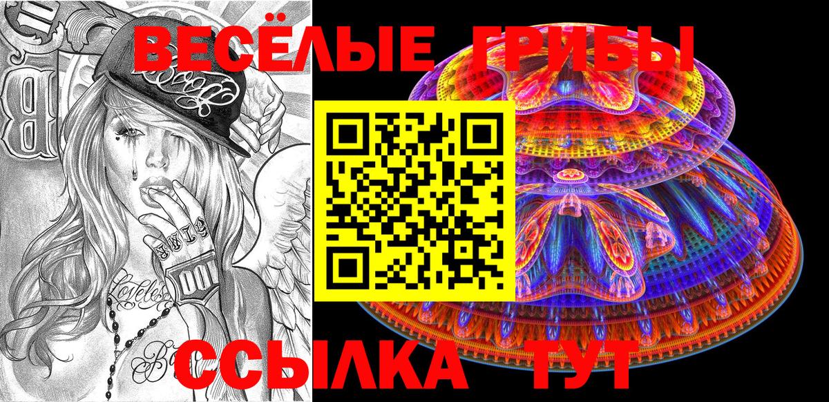 Псилоцибиновые грибы мицелий Ангарск